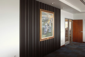 Office feature wall